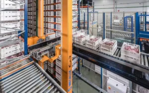 cold chain logistics management