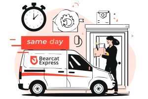 what is same day delivery