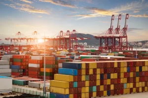 what does commodity mean